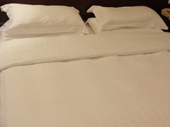 -南京钟山宾馆(江苏省会议中心)