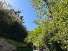 -竹子庵公园