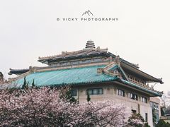 -武汉大学-樱园