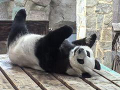 -无锡动物园·太湖欢乐园