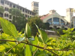 -厦门帝元维多利亚大酒店(环岛路黄厝海滩店)