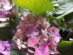 -好宜家眼视光·蔡司店(临汾店)