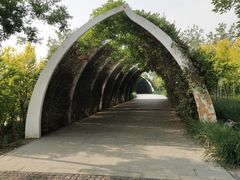 -天津东丽湖风景区