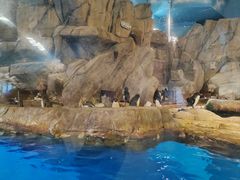 -香港海洋公园