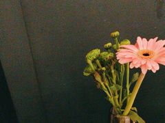 -半秋山西餐厅(巴南万达广场店)