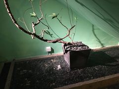 -弄堂里(阿里西溪A区店)