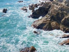 -杨梅坑