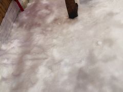 -Mr·Kuma酷么先生雪之乐园