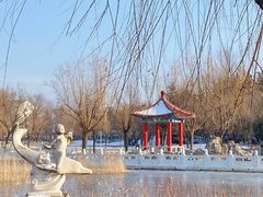 -莱西月湖公园