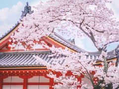 -学习谷日语培训日本留学·多语种外语教学(西单宣武分部)