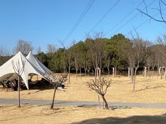 -韩湘水博园
