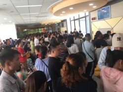 -上海交通大学医学院附属上海儿童医学中心(陆家嘴总院区)