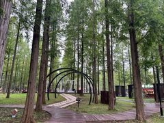 -黄海国家森林公园