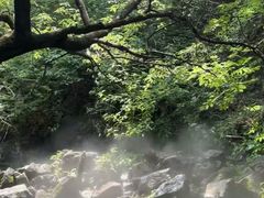 -红崖峡谷景区