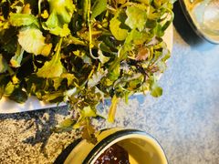 -华盛园卷子王农家菜水库鱼