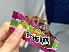 -舜华临武鸭(岳阳东站)