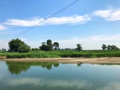 -蒲河岛湿地公园