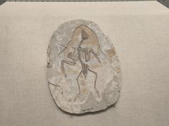 -辽宁古生物博物馆