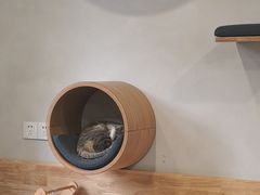 -伟伟宠物医院·CT影像中心·瑞派犬猫综合性门诊(汉口总院)