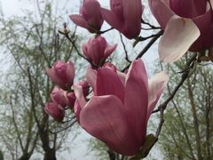 -艾溪湖湿地公园