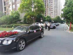 -蚂蚁婚车