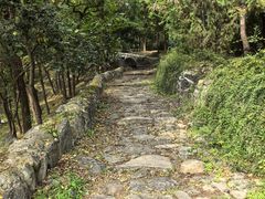 -阳台山自然风景区