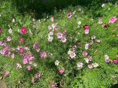 -三亚南山文化旅游区