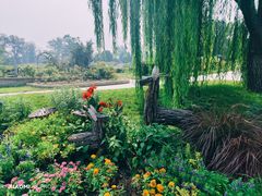 -国家植物园南园