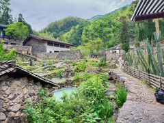 -MOJ coffee(瓯海泽雅水碓坑店)