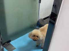 -宠物星动物医院·眼科·异宠·猫科(江南大道总院)