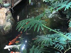 -聚缘堂·海鲜私房菜(松岭路店)