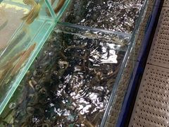 -王四营海鲜市场