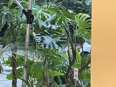 -1861意大利餐厅(文化广场店)