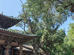 -晋祠公园
