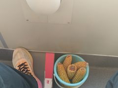 -黑瞎子岛探秘野熊园