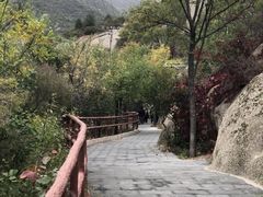-古崖居风景名胜区
