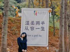 -天花井景区
