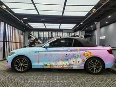 -天猫养车贴膜轻改·蓝电(优匹康桥东路店)