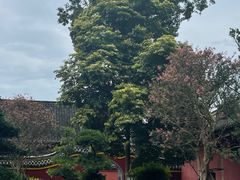 -宝光寺