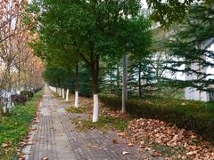 -南京金牛湖风景区