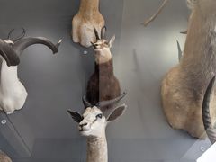 -陕西自然博物馆