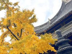 -龙华寺