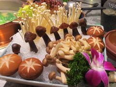 菌菇拼盘-大头椰·海南椰子鸡火锅(思明万象城店)