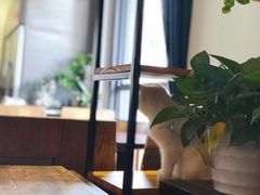 -吉丁鸟咖·异宠·寄养