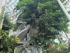 -郑州植物园