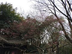 -杭州半山国家森林公园