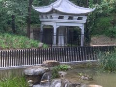 -白水寺森林公园