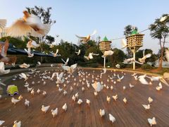 -南昌之星摩天轮