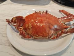 -半岛听涛蒸汽海鲜自助(K11店)