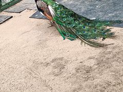 -长春农业博览园